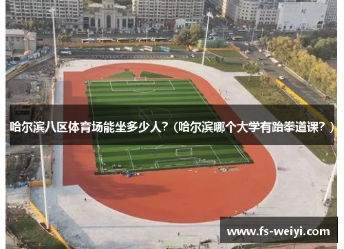 哈尔滨八区体育场能坐多少人？(哈尔滨哪个大学有跆拳道课？)